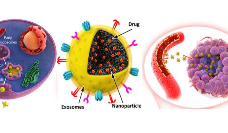 Novel anti-cancer nanomedicine for efficient chemotherapy