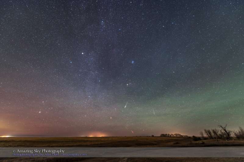 November Meteors: Taurids, Leonids and a Surprise Monocerotids Outburst