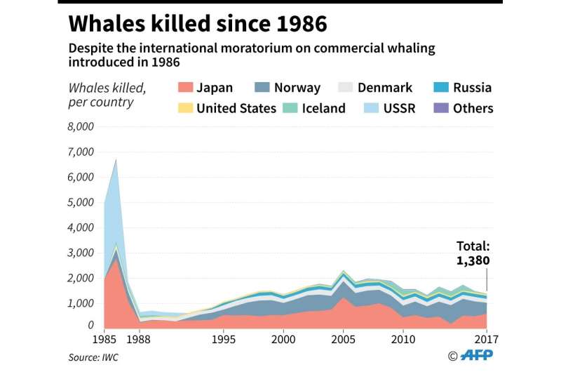 Number of whales killed each year by country despite the international moratorium on commercial whaling introduced in 1986.