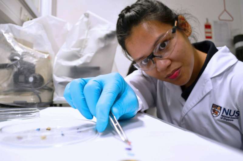 NUS marine scientists find toxic bacteria on microplastics retrieved from tropical waters