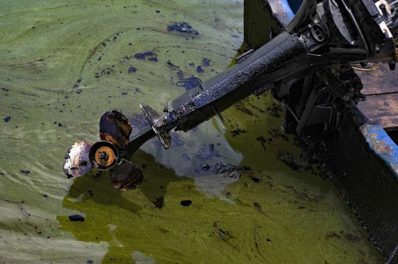 Oil pollution in the lake has left water poisoned
