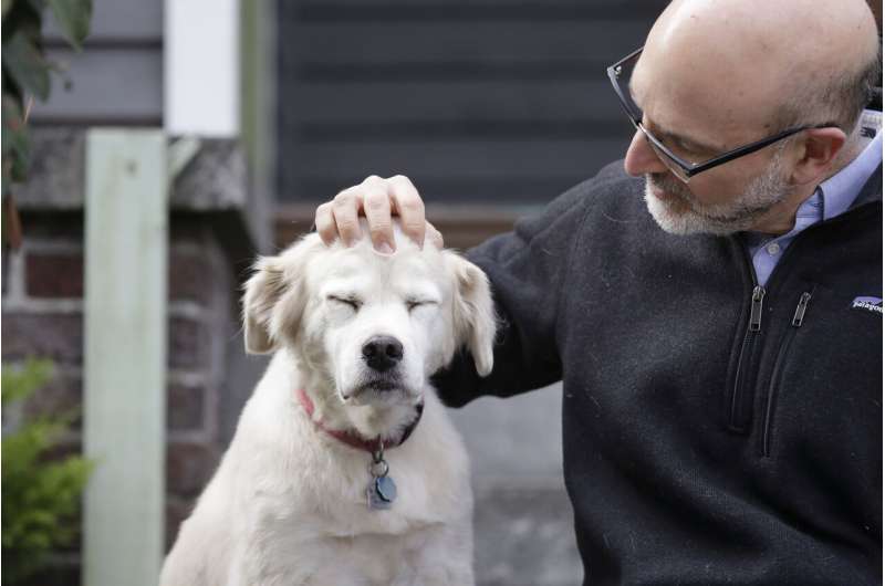 Old dogs, new tricks: 10,000 pets needed for science
