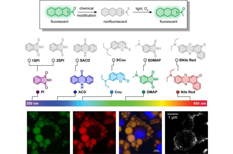 One-atom switch supercharges fluorescent dyes
