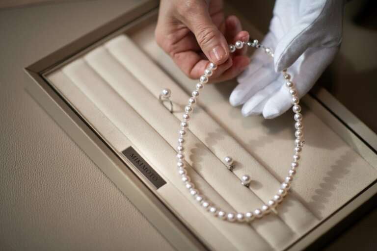 Only around five percent of the oysters harvested will result in pearls of sufficient quality to adorn the windows of chic jewel