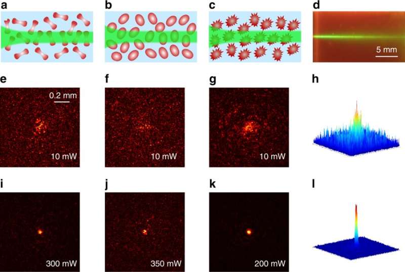 Optical force-induced self-guiding light in human red blood cell suspensions