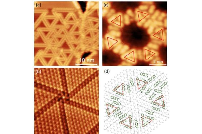 Organic porous structures on 2-D defect networks