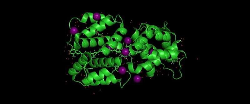 Our first look at a new light-absorbing protein in cyanobacteria