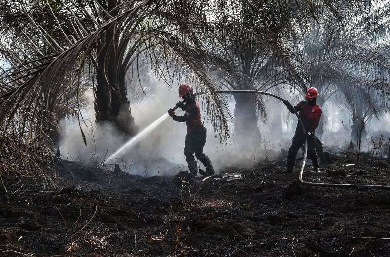 Palm oil production has been blamed by environmentalists for driving massive deforestation