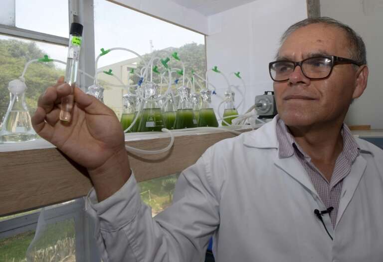 Peruvian biologist Enoc Jara is leading a team of scientists fortifying algae in order to combat water pollution