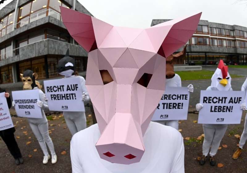 PETA argues that under German law, animals cannot be harmed without reasonable explanation
