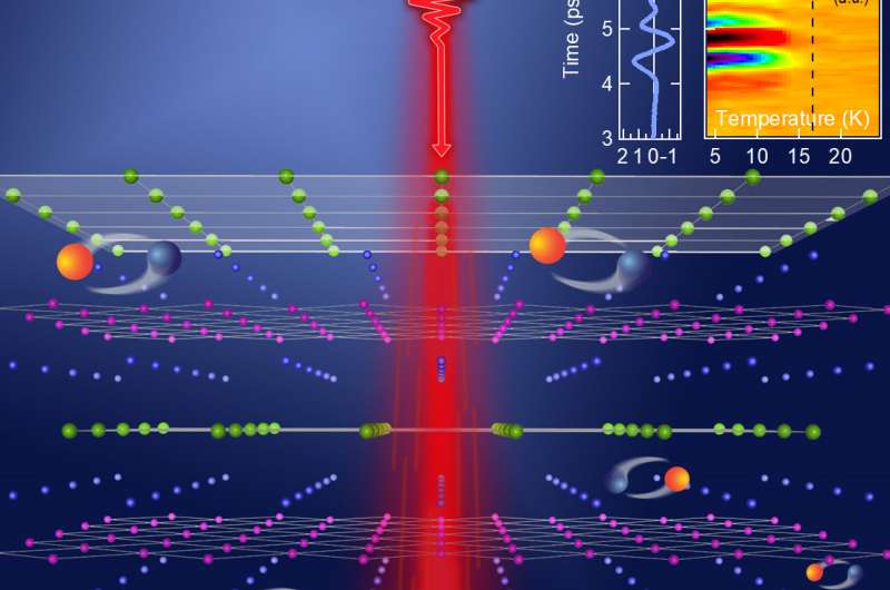 Physicists uncover new competing state of matter in superconducting material