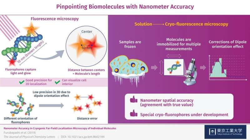 Pinpointing biomolecules with nanometer accuracy
