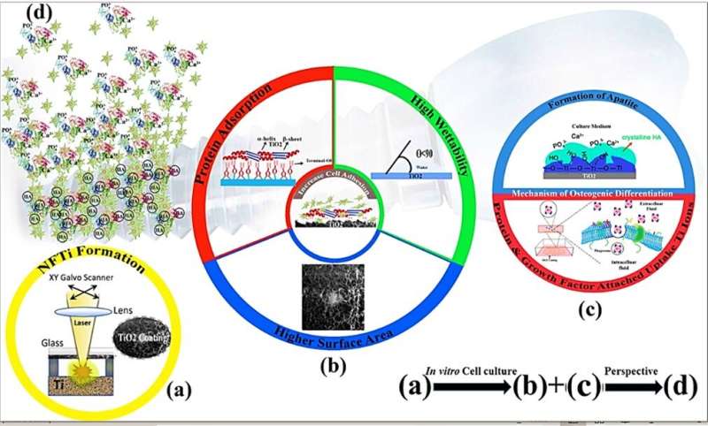 Plasma ionization-based 3-D Titania nanofiber-like webs to enhance bioreactivity and osteoconductivity of biomaterials