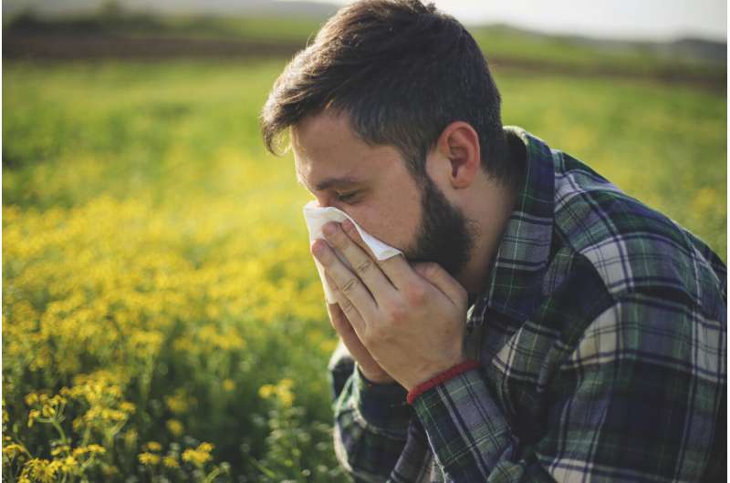 Pollen detectives work to predict asthma and hay fever