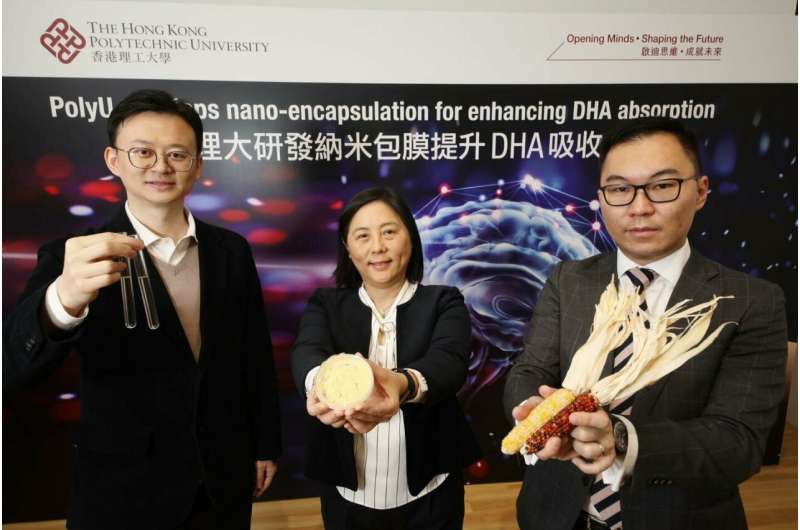 PolyU's nano-encapsulation technology enhances DHA absorption for early brain development