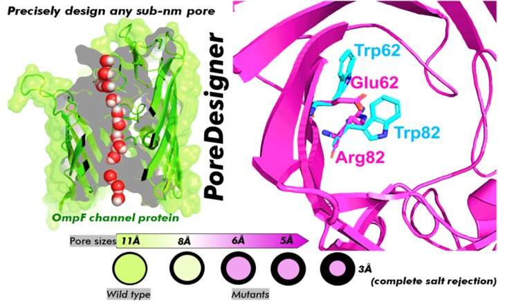 PoreDesigner improves protein channel design for water treatment, bioseparations