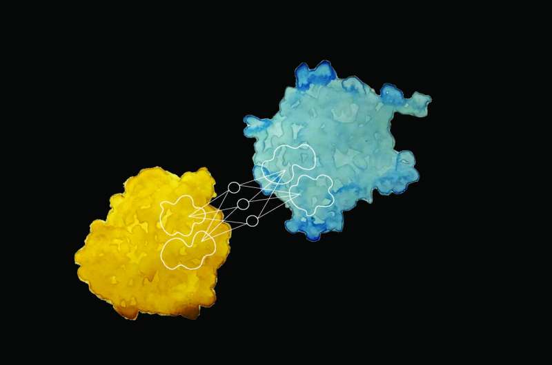 Predicting a protein's behavior from its appearance