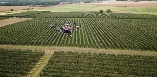 Predicting fruit harvest with drones and artificial intelligence