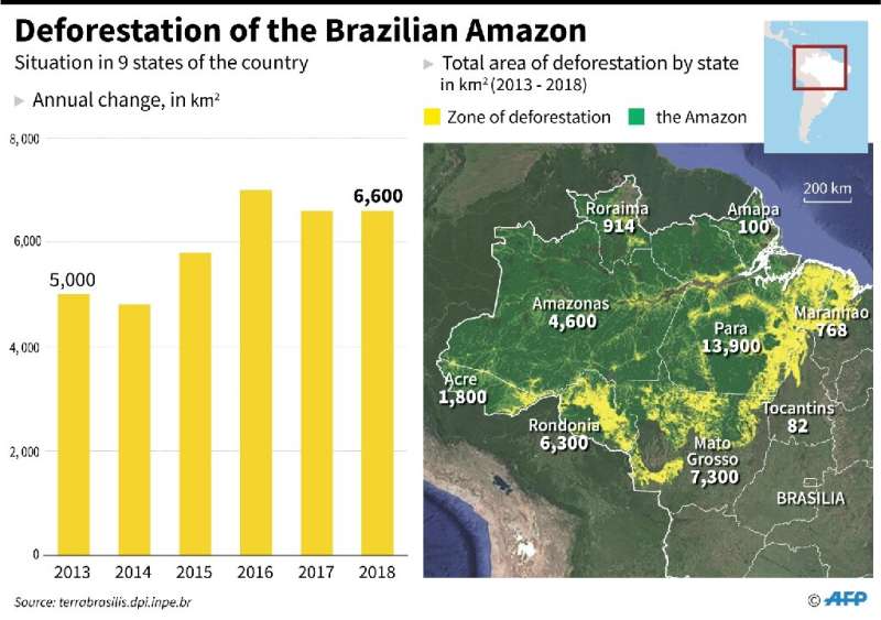 Progression of deforestation in the Brazilian Amazon, with total area by state
