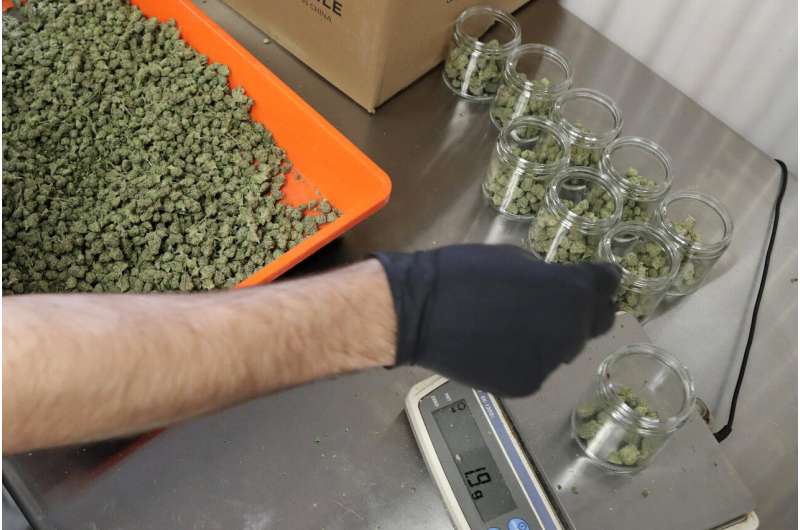 Promise of marijuana leads scientists on search for evidence