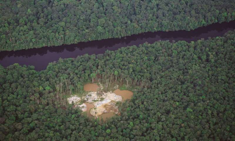 Promoting smarter ways to mine within fragile forests