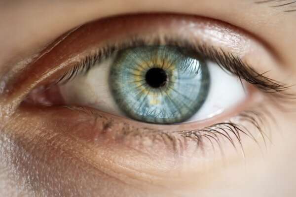 蛋白质转运的发现可能有助于确定治疗眼病的新策略
