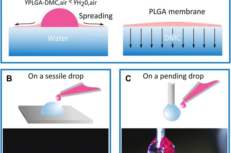 Quick liquid packaging: encasing water silhouettes in 3D polymer membranes for lab-in-a-drop experiments