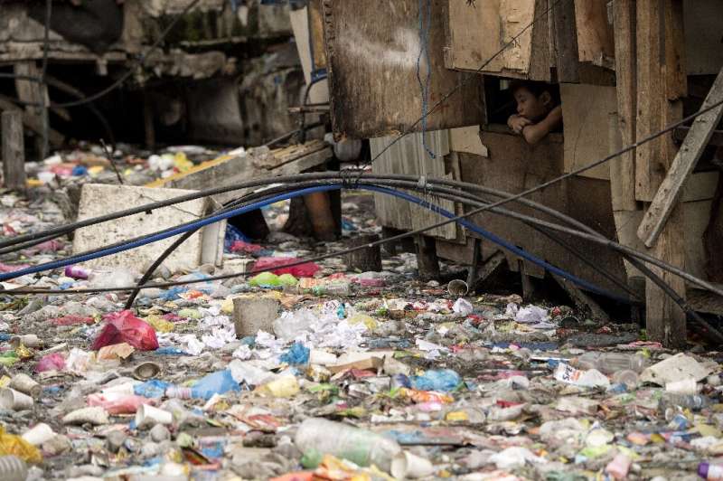 &quot;Some countries will unfortunately become the world's new rubbish heaps, an EY specialist says