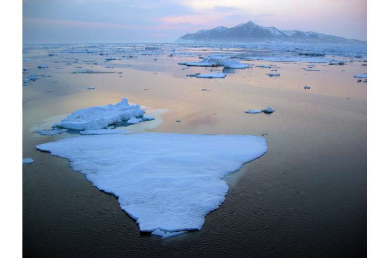 Record low level of Bering Sea ice causes profound, widespread impacts