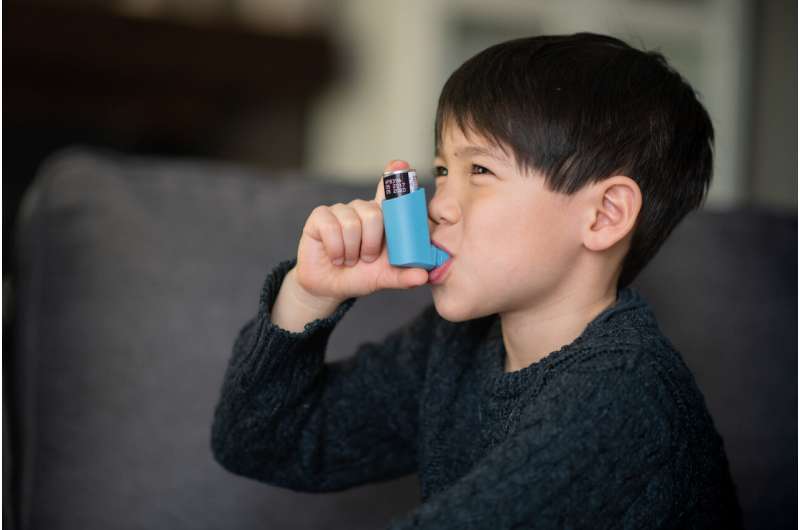 Reducing mouse allergens may improve lung growth in asthmatic children