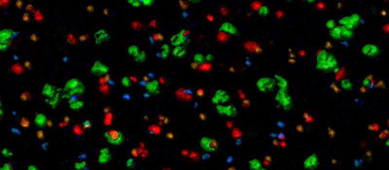 Reprograming T cells to attack solid tumors