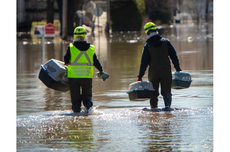 Rescuers hold pet carriers as they search for animals abandoned by their owners who fled the heavy flooding in the Canadian town
