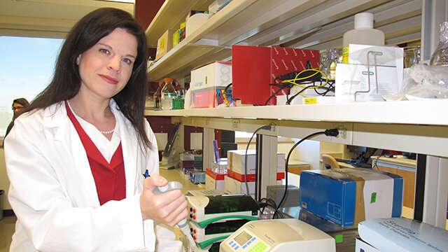 Research could lead to more precise diagnosis and treatment of ovarian cancer