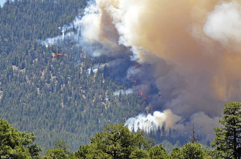 Restoring forests means less fuel for wildfire and more storage for carbon
