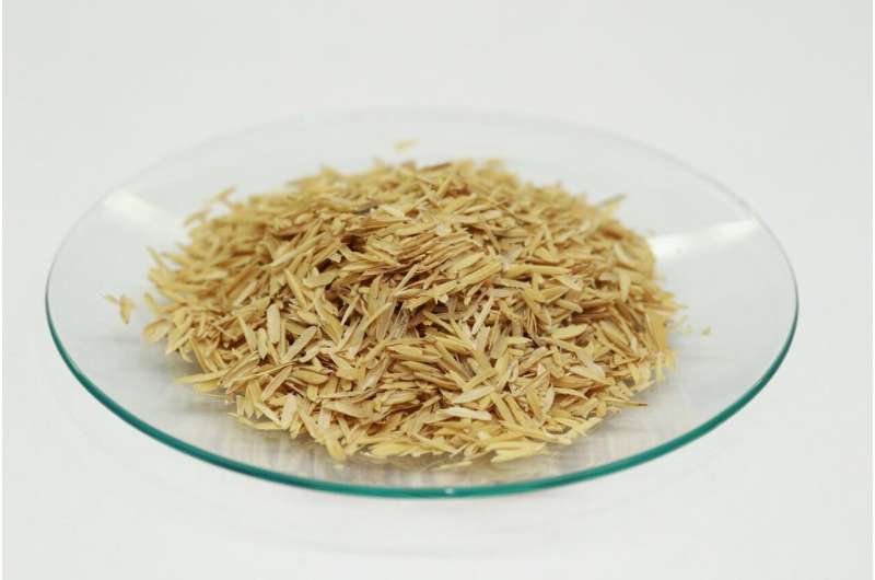 Rice husks can remove microcystin toxins from water