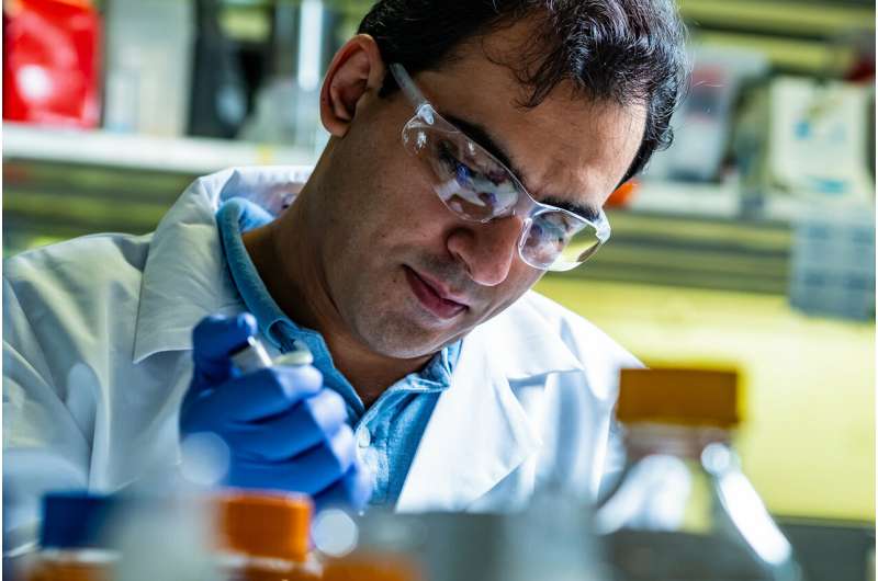 Rice U. lab adds porous envelope to aluminum plasmonics