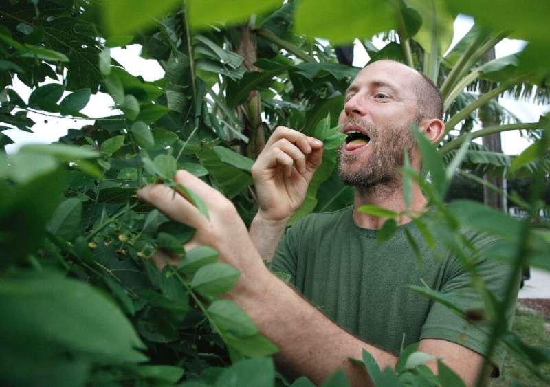 Rob Greenfield samples katuk, a leaf vegetable that he has grown in a home garden in Orlando