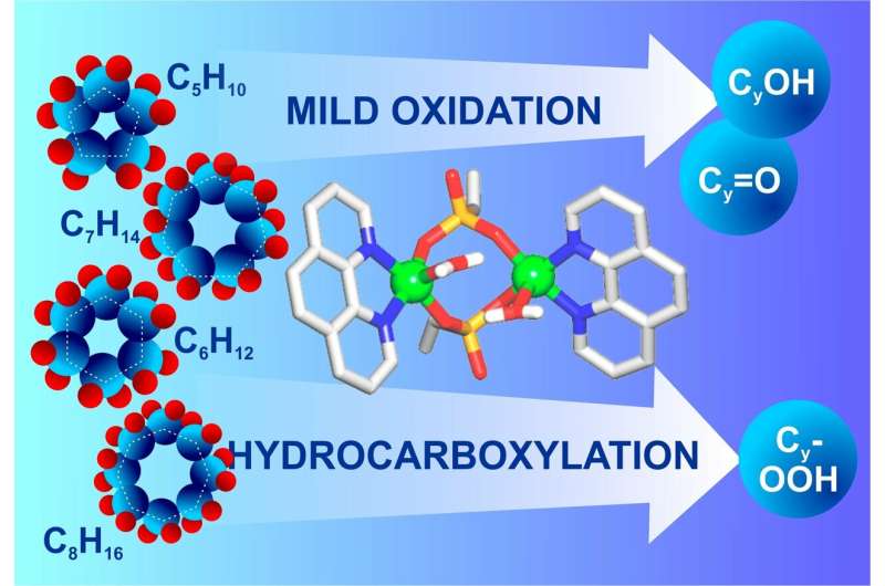RUDN Chemists Developed a Catalyst to Oxidize Alkanes in Mild Conditions