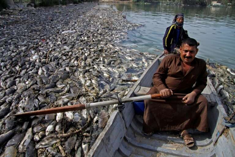 Rumours swirled over whether the fish used to prepare Iraq's signature dish masgoof were sick or the Euphrates River had been po