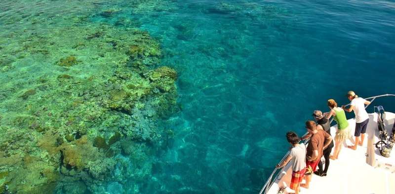 'Sadness, disgust, anger': fear for the Great Barrier Reef made climate change feel urgent