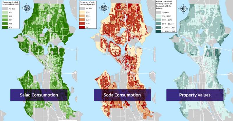 沙拉，苏打水和社会经济地位：在西雅图映射了健康的社会决定因素