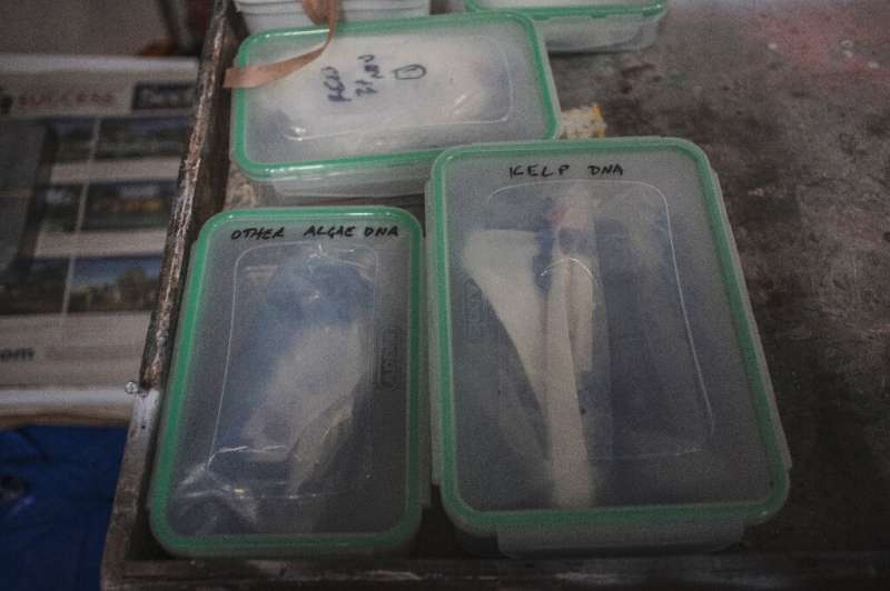 Samples are logged and stored for scrutiny in the lab