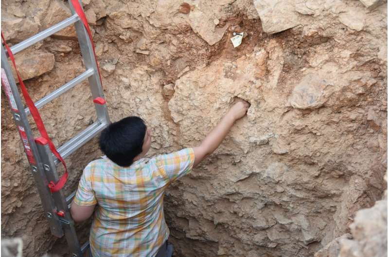 Scientists find early humans moved through Mediterranean earlier than believed