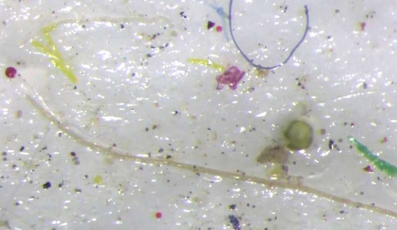 Scientists who collected the Arctic sea ice were shocked at the amount of plastic of all kinds it contained—beads, filaments, ny