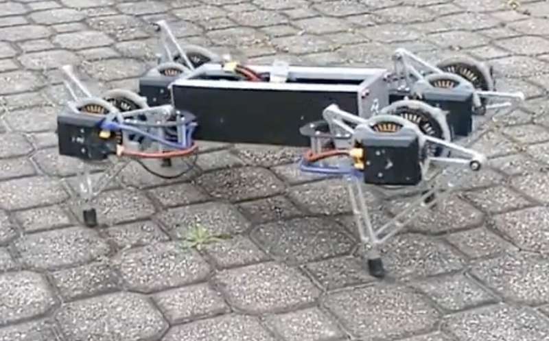 Scurrying roaches help researchers steady staggering robots