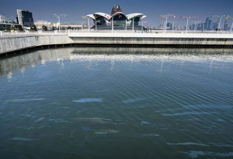 Seals that were once a common sight on Baku's waterfront have been declared endangered