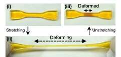 Self-growing materials that strengthen in response to force