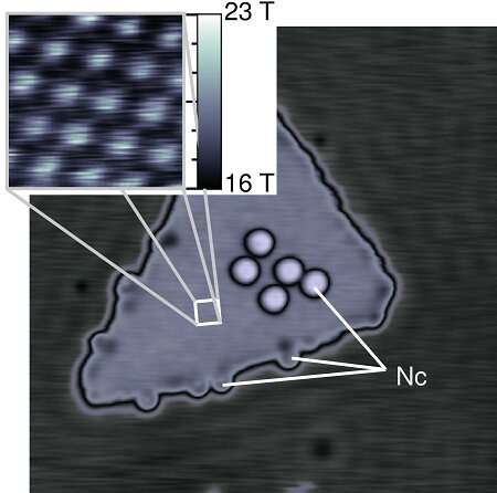 Sensing magnetism in atomic resolution with just a scanning tunneling microscope