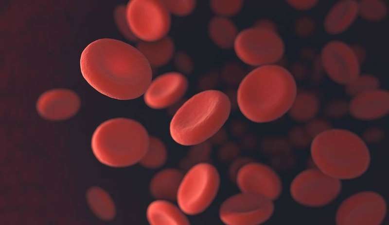Serendipitous meeting leads to new insights into Fanconi anemia