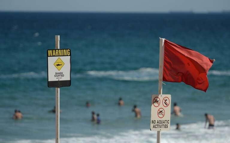 Shark attacks are rare and fatal ones even more so, but still prompt panic in Australian coastal communities